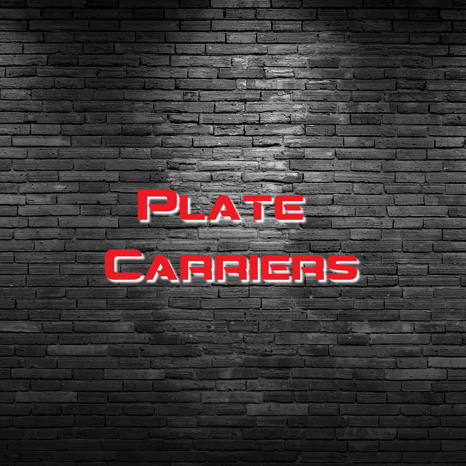 Picture for category Plate Carriers