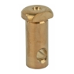 Picture of LanTac USA LLC CP-R360  556NATO Cam Pin  Brass Finish  Works on All Mil-Spec BCGs 01-UP-556-CP