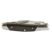 Picture of Kershaw Iredale  Folding Knife  2.6" Blade  Clip Point  Satin Finish  7Cr17MoV Stainless Steel  Black Canvas Micarta Grips 4386