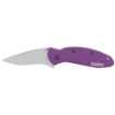Picture of Kershaw Scallion  2.4"  Assisted Folding Knife  Clip Point  Plain Edge  420HC/Satin  Anodized Aluminum  Thumb Stud/Pocket Clip  Purple 1620PUR