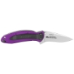 Picture of Kershaw Scallion  2.4"  Assisted Folding Knife  Clip Point  Plain Edge  420HC/Satin  Anodized Aluminum  Thumb Stud/Pocket Clip  Purple 1620PUR