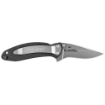 Picture of Kershaw Scallion  2.4" Assisted Folding Knife  Clip Point  Plain Edge  420HC/Satin  Black Nylon  Thumb Stud/Pocket Clip 1620