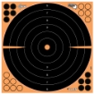 Picture of Allen EZ AIM Adhesive  Bullseye  16x16"  5 Pack 15227