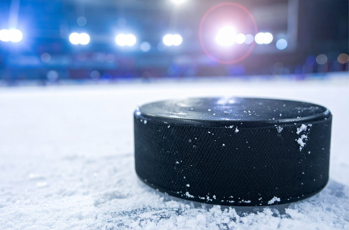 Picture for category Hockey