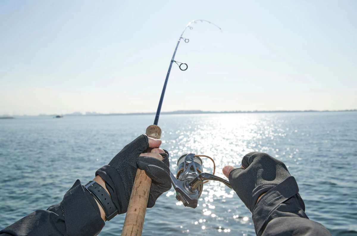 Picture for category Fishing